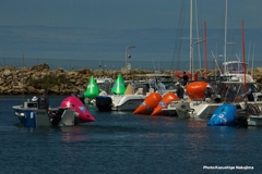 1112_Perth2011_036.jpg